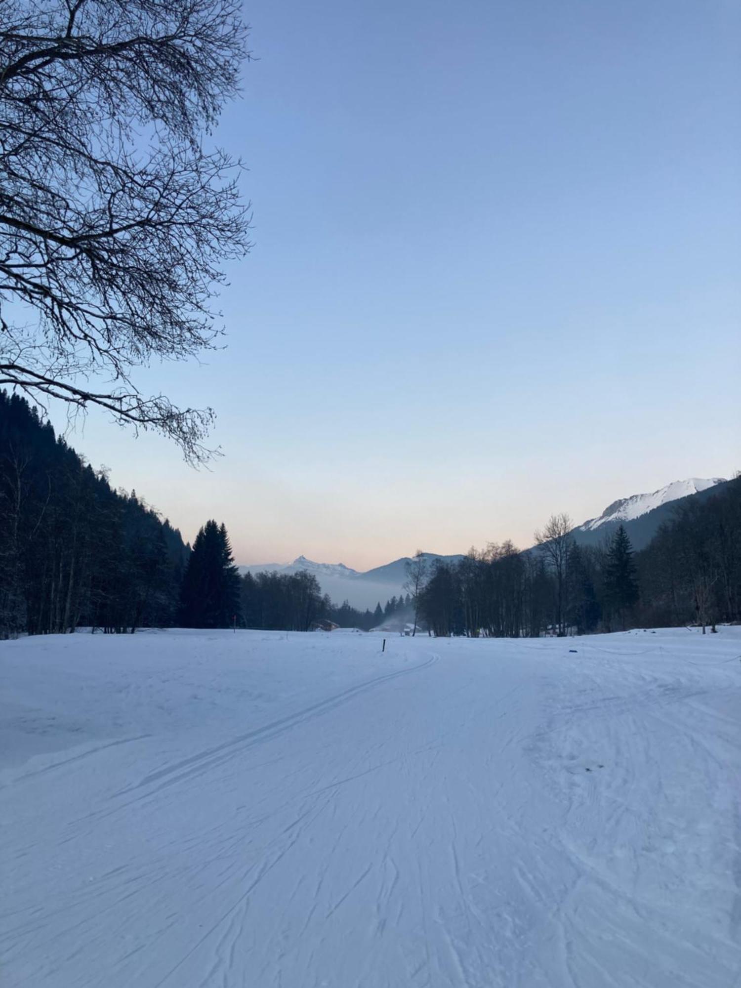La Ferme Du Praz Gasthof *